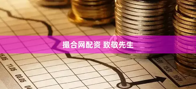 撮合网配资 致敬先生