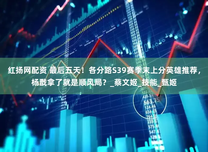 红扬网配资 最后五天！各分路S39赛季末上分英雄推荐，杨戬拿了就是顺风局？_蔡文姬_技能_甄姬