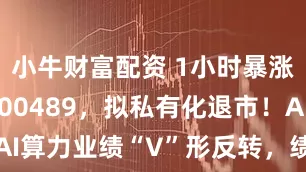 小牛财富配资 1小时暴涨超91%，00489，拟私有化退市！AI算力业绩“V”形反转，绩优滞涨股出炉