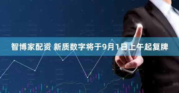 智博家配资 新质数字将于9月1日上午起复牌
